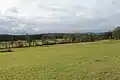 Forêt de Kreutzwald, ancien domaine de chasse adjoint à la Forêt de la Faisanderie.