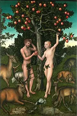 Adam et Ève, 1526 – Institut Courtauld, Londres.