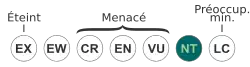 ( NT )