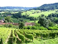 Vue de la vallée.