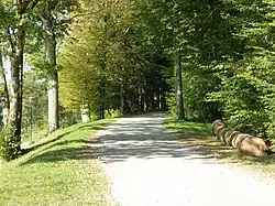 Promenade autour du lac de Rioz.