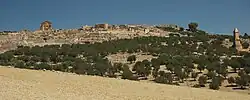 Vue générale d'un site archéologique au milieu d'arbres et au premier plan du sable