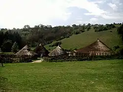 Ferme de l'Âge du fer
