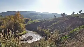 Province de Taza