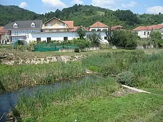 Urovica
