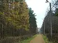 Allée dans la partie sud du parc