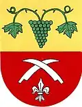 Blason de Seloutky