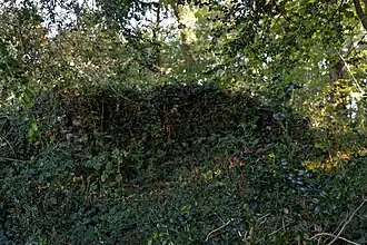 Vestiges de murs séparant les jardins.