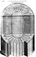 Section d'une tige de vigne (Anatomy of Plants).