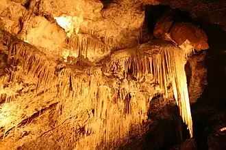 Marakoopa Cave