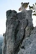 Steinerne Agnes, gesehen von Osten