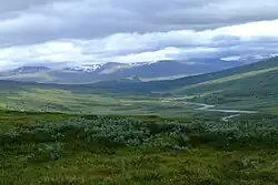 Pentes douces de la vallée de Låddejåkkå avec Sarek en arrière plan