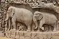 Les éléphants.