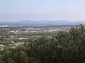 Vue