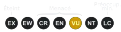 ( VU )