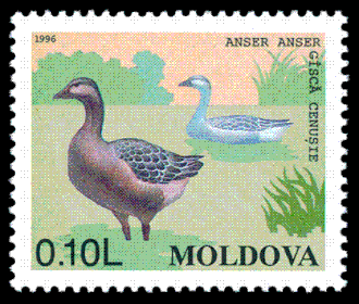 Timbre de Moldavie, 1996.