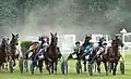 Course de trot