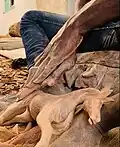 Sculpteur façonnant une figurine de cheval en bois au village artisanal de Soumbedioune.