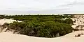 Dunes