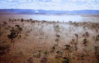 Vue aérienne d'un essaim de criquets migrateurs à Madagascar (photo M. Lecoq).