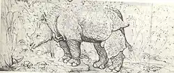 L'animal possède une corne de licorne mais est entravé.