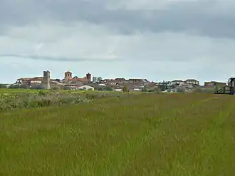 Tamariz de Campos