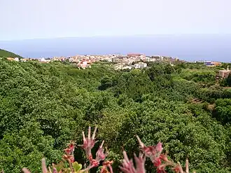Barlovento