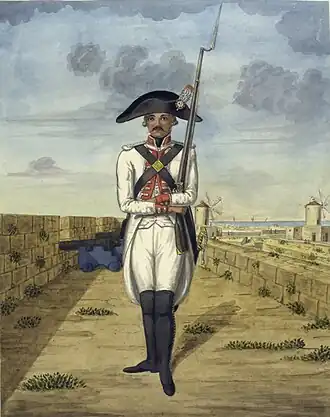 Image illustrative de l’article Régiment de Malte