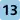 (13)