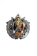 Insigne de la section de protection de l'ONU, BATGEN Bosnie-Herzégovine, 1994.