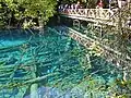 Le lac des cinq fleurs.