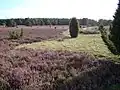 Lande du Hauszelberg