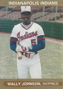 Image illustrative de l’article Wallace Johnson (baseball)