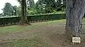 L'arbre de la jeunesse et en fond le mémorial des Chasseurs d'Afrique.