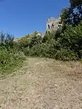 Vestiges du château des Roches-Tranchelion (2015)