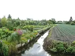 Hortillonnages d'Amiens (France).