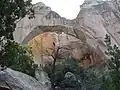Ventana Arch.