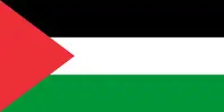 Image illustrative de l’article Forces populaires (Gaza)