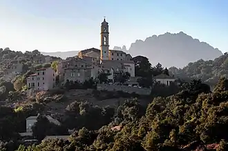 Soveria.