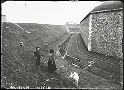 Détail de la muraille, du fossé et du talus de défense.