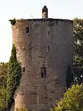 Tour médiévale.