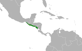 Description de l'image Ortalis leucogastra map.svg.