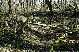 L'emplacement du puits de mine de Roncevaux.