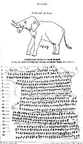 Le motif de l'éléphant, et la suite de l'édit N°13.