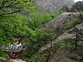 Chemin vers les chutes de Koryong.