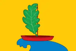 Drapeau de Raïon de Pijanka