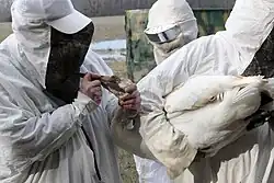 Photographie de deux personnes en combinaisons. L'une d'elles tient une Grue dans ses bras pendant que l'autre examine la tête de l'oiseau.