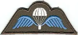 Brevet de qualification Parachutiste