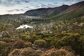 Lac Newdgate