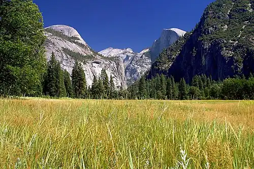 Prairie dans la vallée de Yosemite.